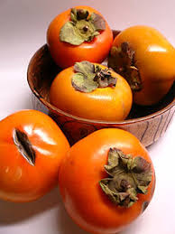 Persimmon american persimmon flower scientific classification kingdom. Ebony Trees Zxc Wiki
