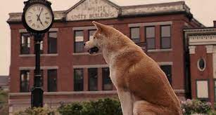 As it's portrayed in the movie we know. Der Wahre Hachiko Ein Hund Der Die Welt Zu Tranen Ruhrte News Tele At