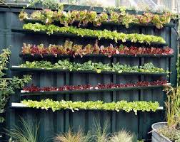 Comment Creer Un Jardin Vertical Potager Ou D Agrement Potager Vertical Jardinage Idees De Jardinage