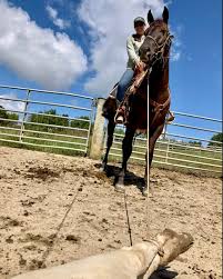 Jake Masterson (@crownmranch) • Instagram photos and videos