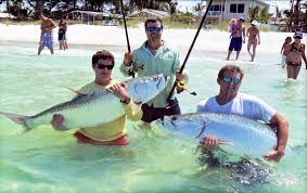 New guest reviews · over 1300 booking sites · compare booking sites Tampa Bay Fishing Charters Tarpon Inshore Offshore