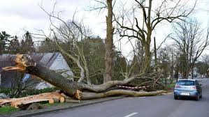 Mais le ciel est gris. L Irm Place L Entierete De La Belgique En Alerte Jaune La Tempete Dennis
