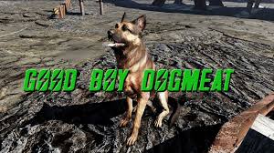 Fallout 4 Mod Spotlight: Good Boy Dogmeat - YouTube