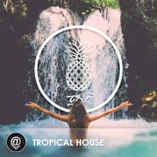 The Dancing Pineapple Presents Tropical House Playlist