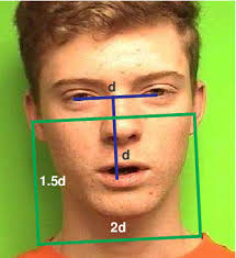 PDF] Patch-Based Representation of Visual Speech