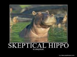 Skeptical Hippo Cute Hippo Hippopotamus Funny Animals