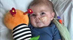 Fundraiser for Mallory Furlow by Danielle Nolan : Support Jon David's Heart  Journey