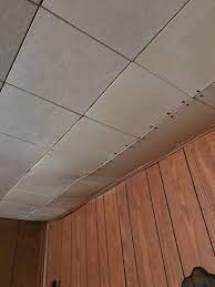 Check spelling or type a new query. How To Cover Acoustic Tile Ceilings Cheap And Easy Hometalk