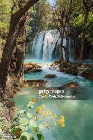 Image result for tbn:xX3UNS9Jgye8JM::www.hoteleseconomicosmexico.com/fotos/chiapas/agua-azul/cascadas-de-agua-azul-chiapas.jpg