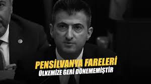 @withbasak's video Tweet