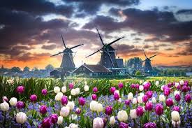 The history of kinderdijk shows how the netherlands managed to survive below sea level for so long. Kinderdijk Windmill Jigsaw Puzzle Countries Netherlands Puzzle Garage