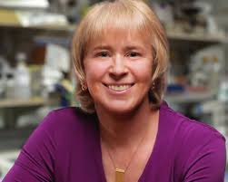 Where cures begin. Salk Institute 08 |15