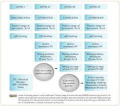 In addition, weaning patients from ventilators becomes easier when patients are able to assist themselves at extubation with coughing and control of secretions. Patient Early Mobilization A Malaysia S Study Of Nursing Practices Insight Medical Publishing