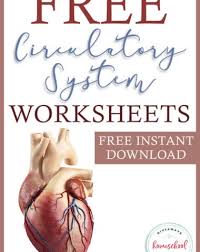 Free Human Body Systems Worksheets Archives
