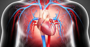 Congestive Heart Failure Symptoms Causes Treatments