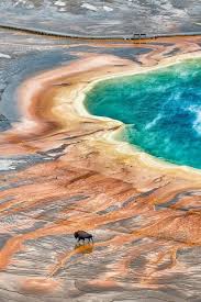 Pin By Refsbr On Us National Parks National Parks Yellowstone National Park Scenic