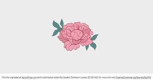 Check spelling or type a new query. Vector Pink Peony