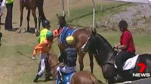 Australian Jockey Caboche Suspended For Punching Horse Bbc