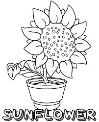 A Simple Sunflower Coloring Page Sheet Sunflowers coloring page from sunflower category.