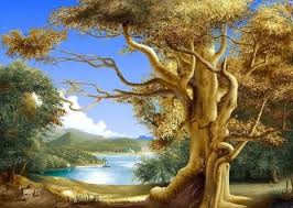 Free Beautiful Nature Wallpapers Wallpaper Cave All our pictures are free to download and without watermark. free beautiful nature wallpapers
