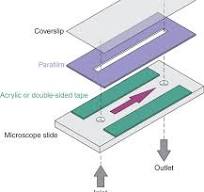 A simple single-stream flow cell.Two different versions of a ...