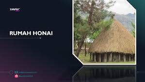 Gambar rumah adat ini berada di tengah dan memiliki banyak sekali filosofi kehidupan penuh dengan makna. Nama Rumah Adat Papua Plus Gambar Lengkap Penjelasan