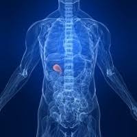 Batu empedu sapi asli dari dalam kantung empedu dalam perut sapi terletak dalam kantung kemih nya dan kriteria sapi yang sakit dan kurus kering di jual batu empedu sapi lembu the security of your data is important to us but remember that no method of transmission over the internet or method of. Makanan Yang Harus Dipantang Penderita Batu Empedu