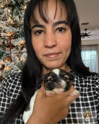 I think we look alike. 😌 Blessed's Beau 3 weeks old. 💙 #blessedshihtzu  #shihtzu #puppy