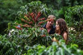 Son dos personas que pertenecen a mundos distintos, él se mueve entre las élites neoyorkinas, ella entre los cafetales, pero, aunque pareciera que no tienen nada que ver, ambos saborean el mismo café. Graban Nueva Version De Cafe Con Aroma De Mujer