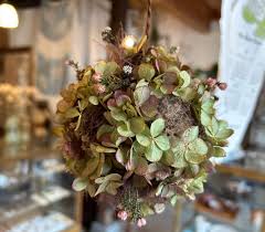 ｈａｎａｒｏｊｉ