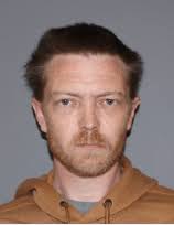 Otsego County man accused of child sex abuse, animal cruelty