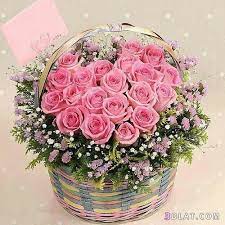 صور باقات ورد رائعه اجمل صور الزهور2019 صور ورود مميزة فازات ورود بالوان را graduation crafts floral wreath beautiful flowers