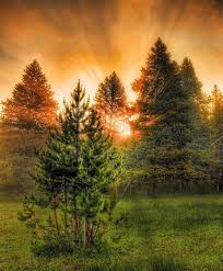 حقائق مذهلة 25 صورة مذهلة لأشعة الشمس Beautiful Places Nature Beautiful Travel Destinations Yellowstone