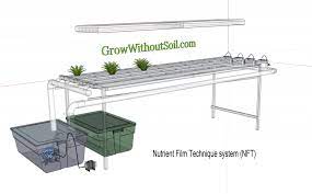 How To Build A Nft Hydroponic System 2 Popular Examples Grow Without Soil