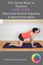 Two Great Ways To Practice Cow Pose How To Use The Cow Yoga Pose To Stretch Your Spine Yoga Poses Basic Yoga Poses Cow Pose Yoga