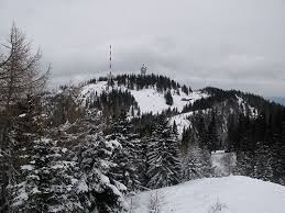 We did not find results for: Fotogalerie Tourfotos Fotos Zur Schneeschuhtour Sonnwendstein Umrundung Niederosterreich Rax Und Schneeberggruppe Semmering Alpintouren Com