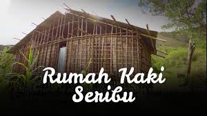 Banyak wisatawan yang berkunjung ke papua baik untuk studi maupun sekedar liburan. Uniknya Rumah Adat Papua Youtube