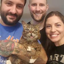 Years ago, we helped our friends Josh and Abi with their dream to make a  legit board game called CATastrophe: A Game of 9 Lives, and you can now get  it here: