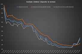 Top 3 dobanzi la depozitele in lei. Dobanzile La Credite Au Ajuns La Cel Mai Ridicat Nivel Din Ultimii Profit Ro