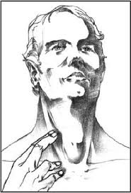 Springhouse Clinical Companion Series : Physical Therapist's Clinical  Companion