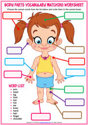 Welcome to esl printables, the website where english language teachers exchange resources: Body Parts Esl Vocabulary Worksheets