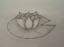 Gambar 2 dimensi bunga daftar gambar 5 dimensi blog. Foto Bunga Yg Mudah Digambar 39 Gambar Sketsa Bunga Indah Sakura Mawar Melati Matahari Contoh Gambar Flower Illustration Hummingbird Sketch Flower Sketches