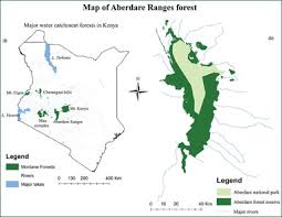 Image result for Limosella maior