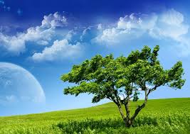 Pikbest has 649071 sky with trees background design images templates for free download. Https Www Google Nl Blank Html Natural Background Background Images Landscape