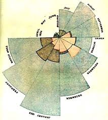 Florence Nightingale Created Polar Area Diagrams To Show