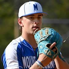 2024 TribLive HSSN Baseball Player of the Year: Mt. Lebanon's David Shields 