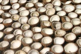 The property industry in malaysia very competitive. Coconuts Catalysts Of Conflict Edge Effects