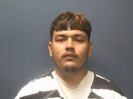 SOTO, BRAYAM Charges: THEFT OF PROPERTY ASSAULT This information and more  is available at https://www.seviercountysheriff.com/inmateRoster