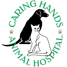 Your pets are our best friends too. Caring Hands Animal Hospital Home Facebook