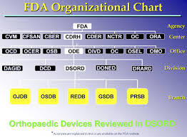 21 Eye Catching Fda Cber Org Chart